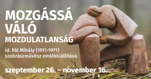 Mozg&aacute;ss&aacute; v&aacute;l&oacute; mozdulatlans&aacute;g: id. P&aacute;l Mih&aacute;ly-t&aacute;rlat a RE&Ouml;K-ben