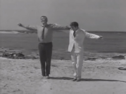 Zorba